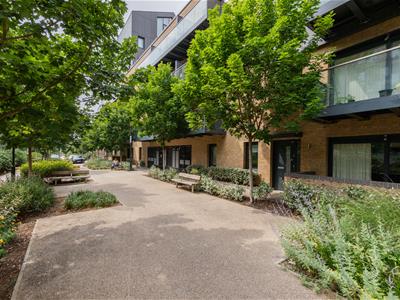 Picture 28